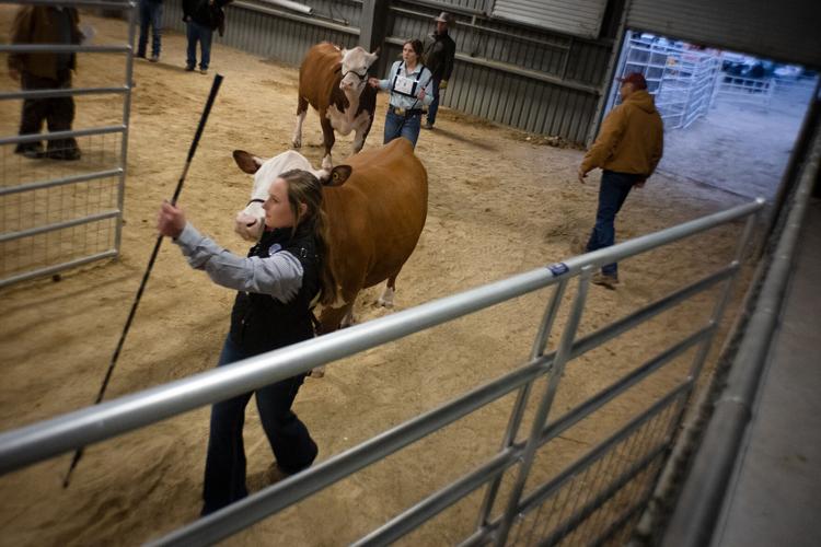 Gallery 2022 Victoria Livestock Show Day 3 Photo Galleries