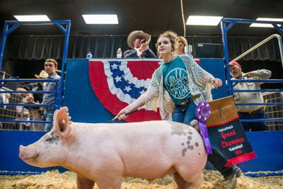 2018 Victoria Livestock Show
