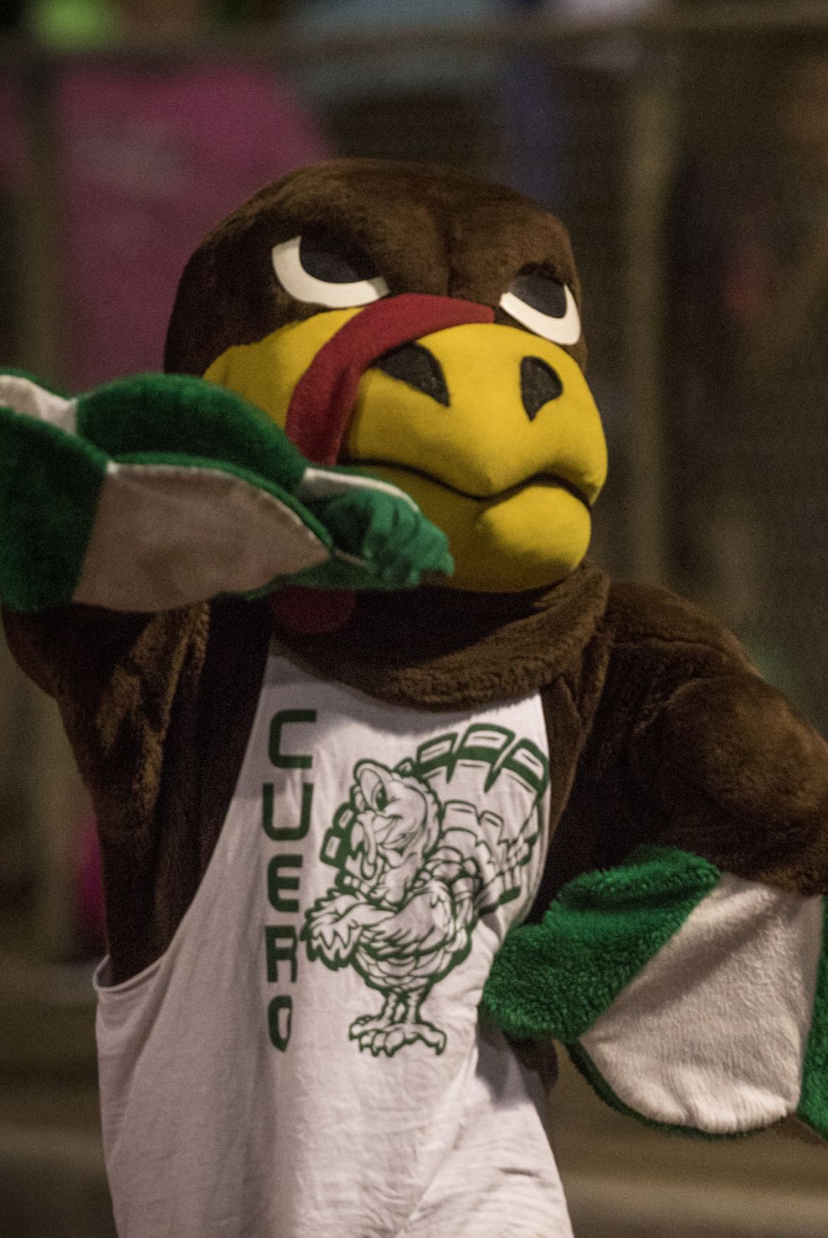 Mascot fills crowd with Cuero Gobbler spirit | Advosports ...