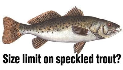Texas Parks And Wildlife Coastal Fisheries Hears From Anglers About Spotted Seatrout Local News Victoriaadvocate Com