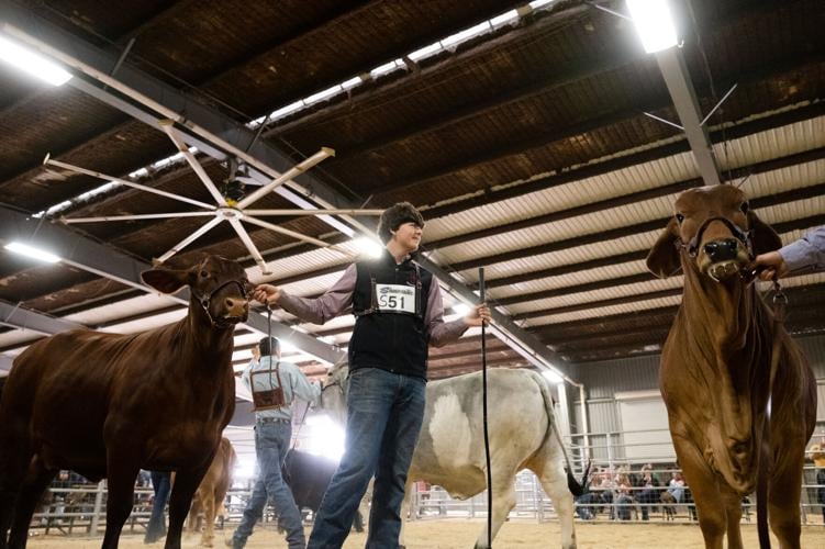 Gallery: Saturday at the 2023 Victoria Livestock Show | Multimedia ...