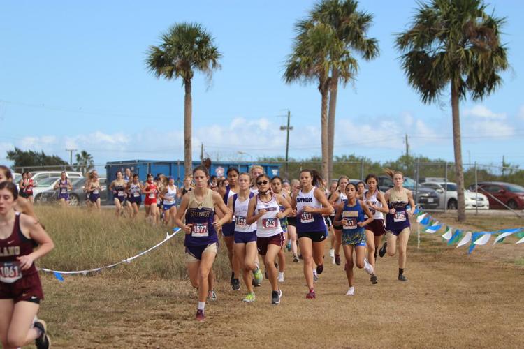 Shiner girls head to state meet as regional champions Advosports