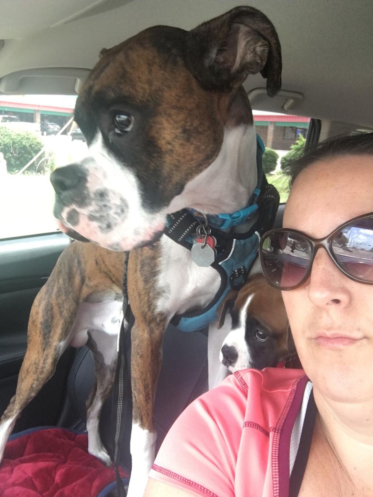 Owner-dog selfies: The 3 Amigos