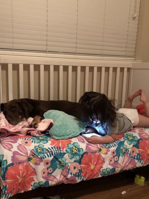 Owner-dog selfies: A girl and her pup