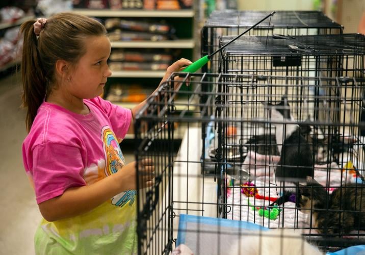 Victoria pet store offers first adoption event since pandemic For