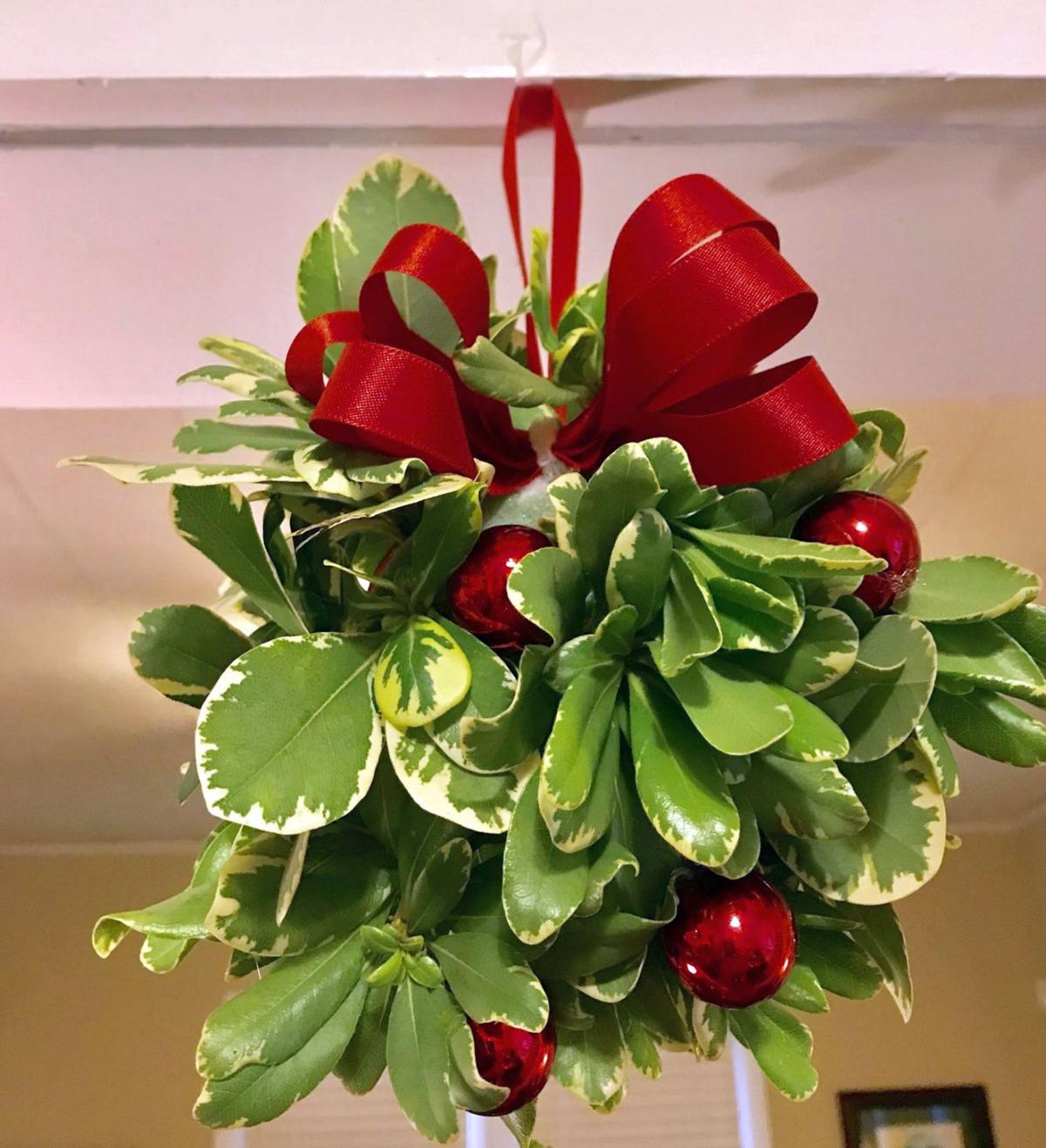 Holiday Decorations Straight From The Garden Home And Garden
