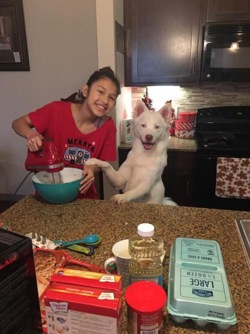 Owner-dog selfies: Watching my mom cook