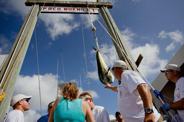 Fishermen have good time at Poco Bueno Tournament Local News
