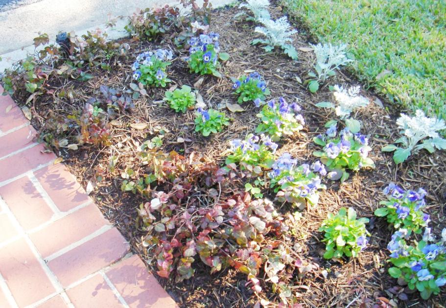 No Shoveling Required With Snow N Summer Jasmine Home And Garden Victoriaadvocate Com