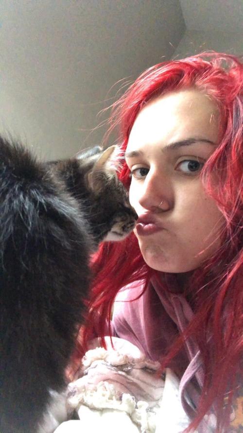 Cat selfies: Smooches