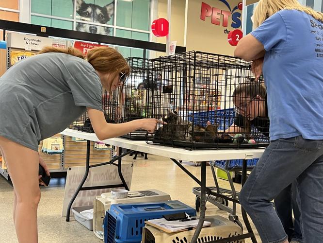 Three-day adoption event at PetSmart locations in San Antonio