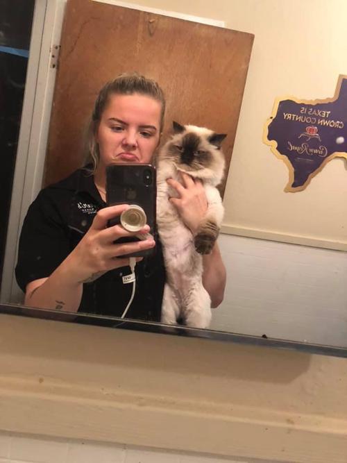 Cat selfies: My son