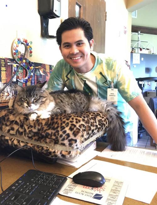 Cat selfies: Shee-Shee the Therapy Cat
