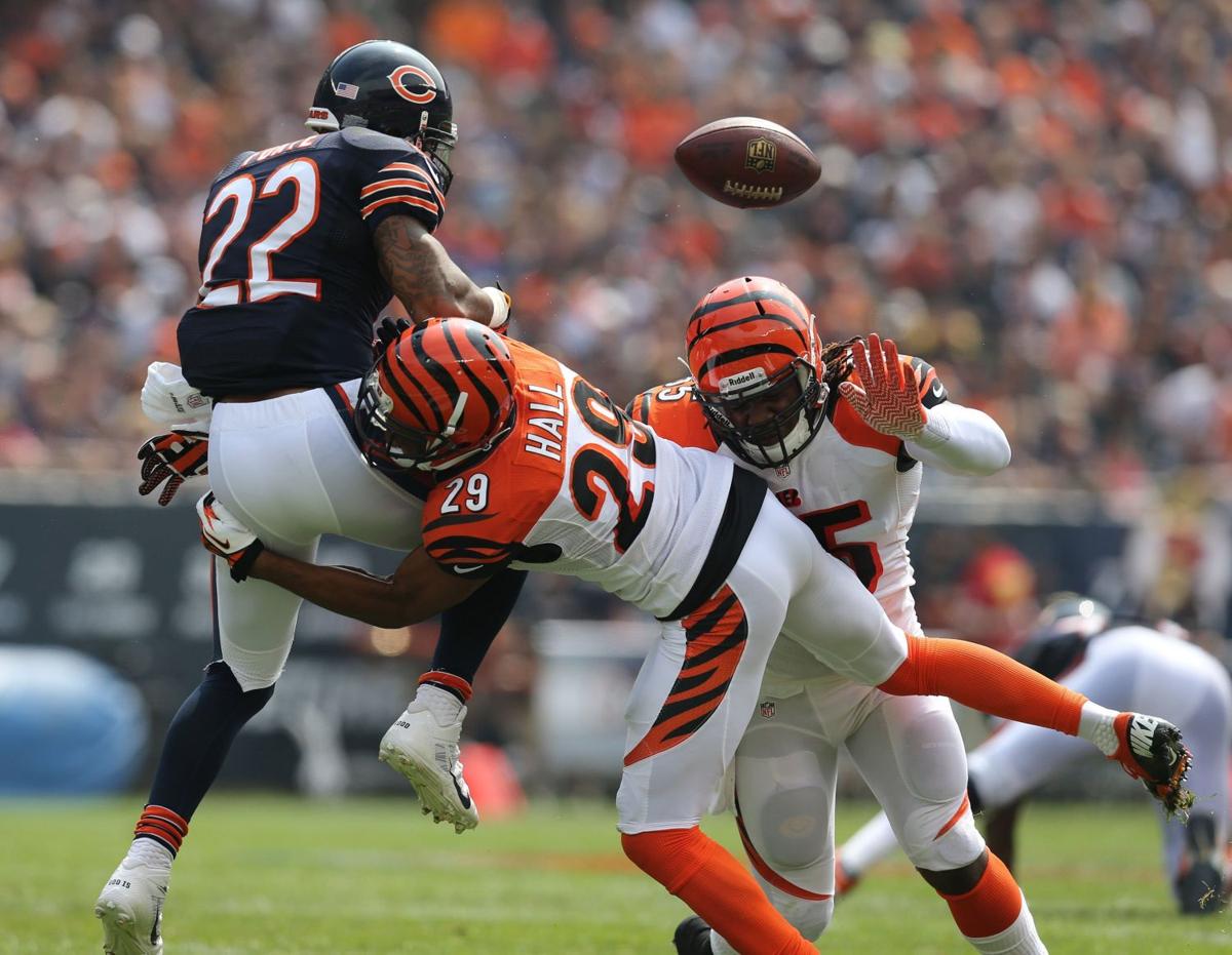 Bears vs Cincinnati Bengals Photo Gallery Sports
