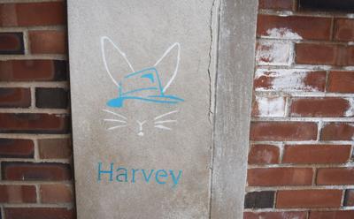 Harvey