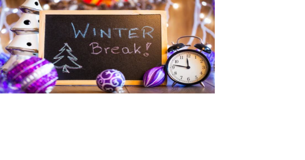 Redbirds share their excitement for holiday breaks - Vimarsana News