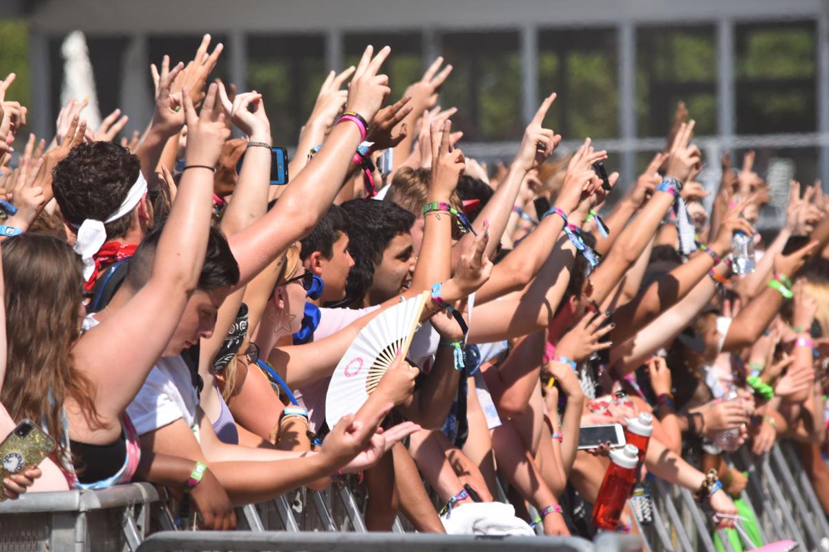 Crowd of fans Lollapalooza