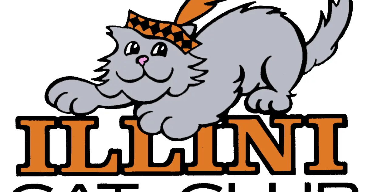 Annual Illini Cat Club cat show to be held in Bloomington - Vimarsana News