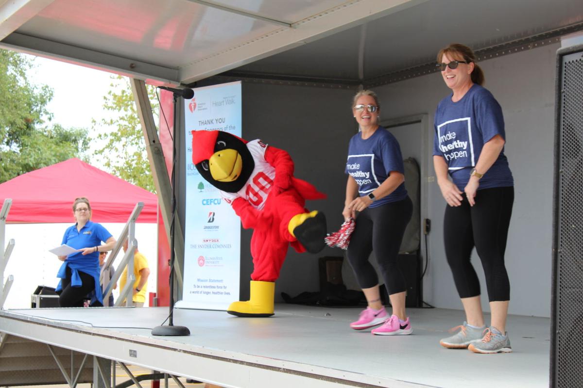 2019 McLean County Heartwalk (10).jpeg