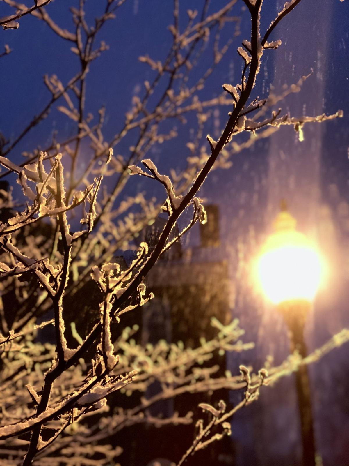 snow_02122020_JH_2.jpg