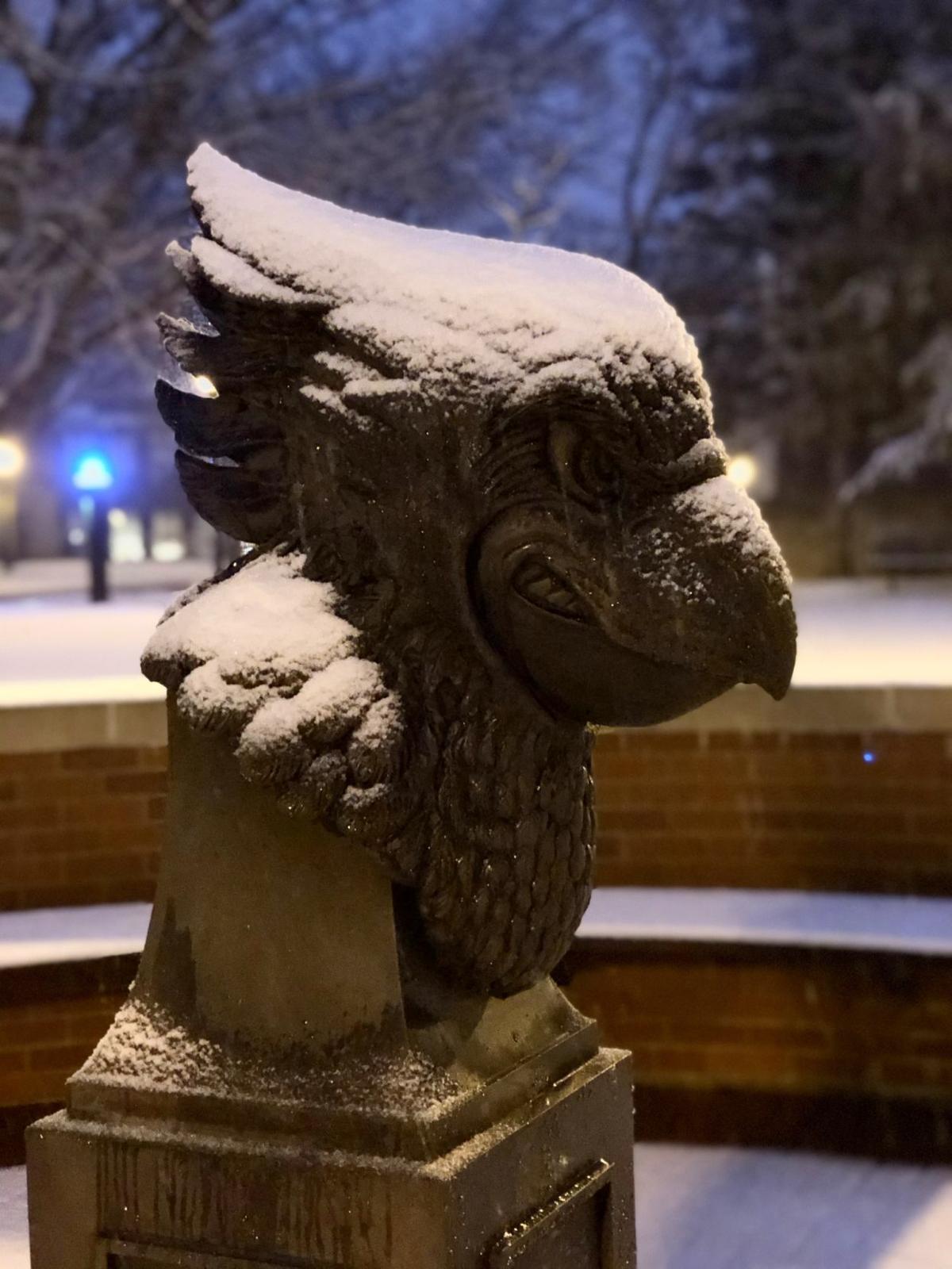 snow_02122020_JH_5.jpg