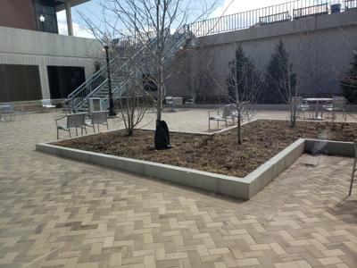 Bone Center Revitalization Project Enters Phase Two News