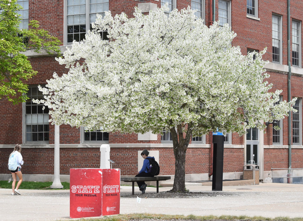 Finals week flowers bloom_05062019