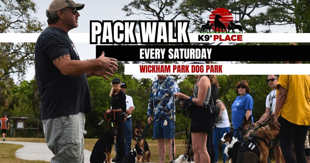 Walk In Saturday Sign Pack Walk Saturday | Calendar | vieravoice.com