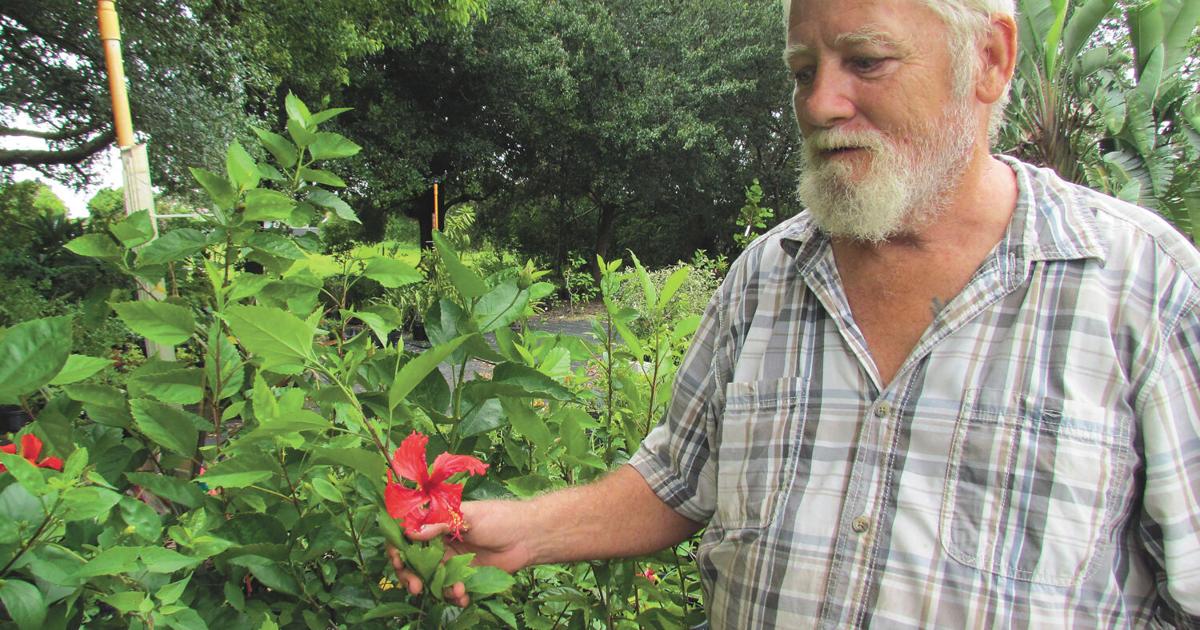 Home Gardening For Beginners