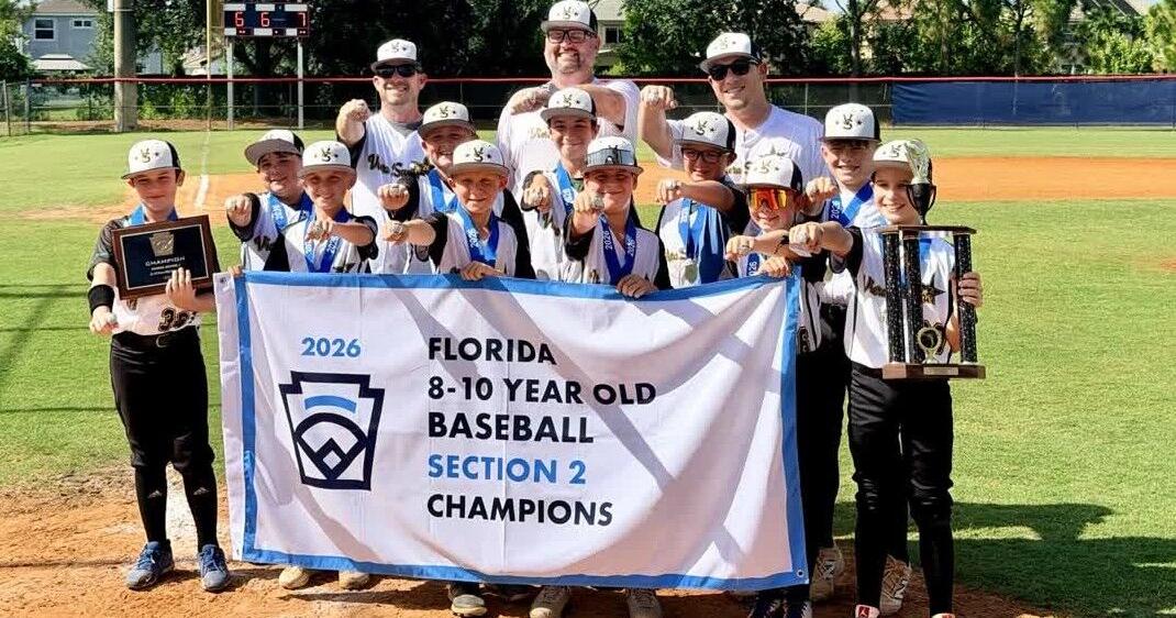 Historic day has VSLL 10U Gold baseball All-Stars heading to state tournament