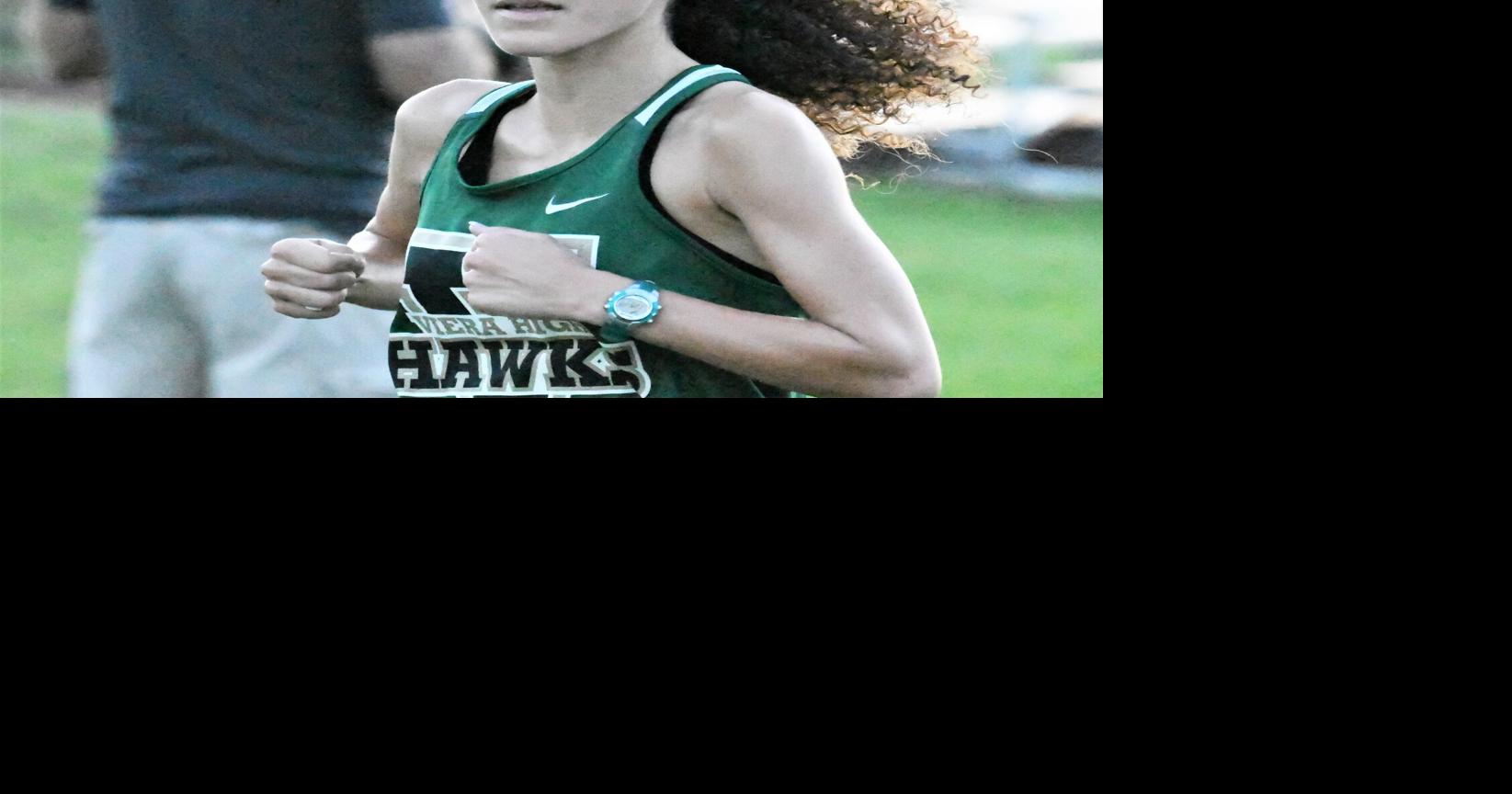 Babilonia breaks school record as Hawks run well at state cross country ...