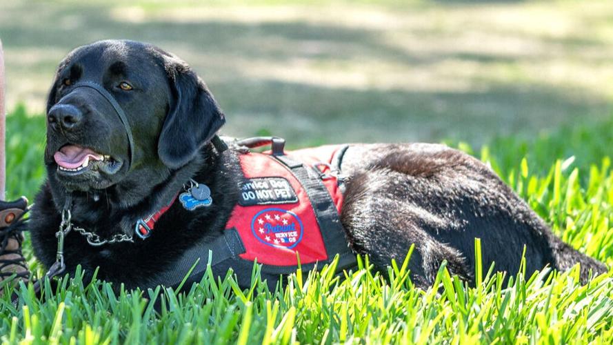 IRCC helps service dog group with generous donation
