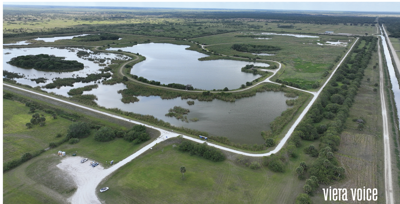 Aerial shot of the Viera Wetlands, VIERA, VIERA VOICE