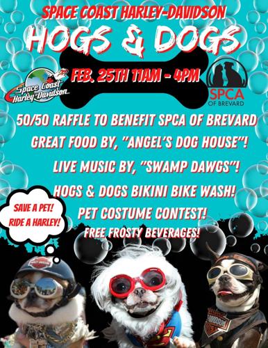 Chattanooga Now Events - Dog Costume Contest and HES