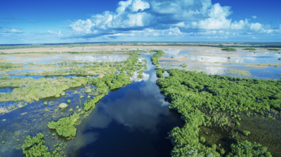 The gift of water comes from the ever-giving Everglades