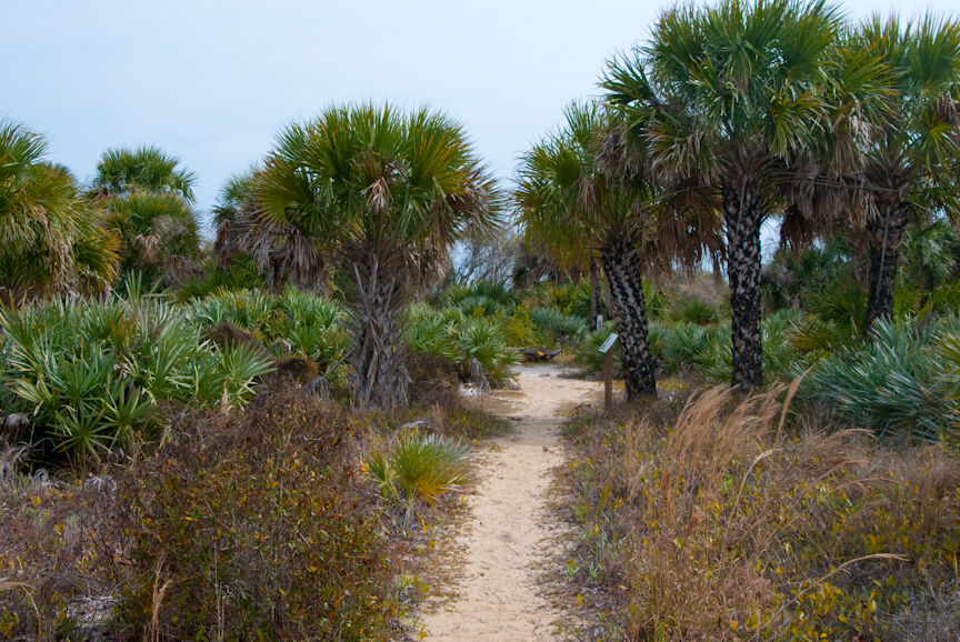 trek coconut point
