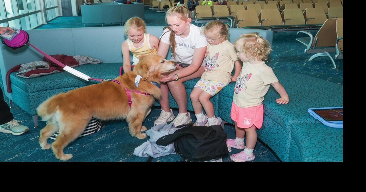Therapy dogs snuggle their way to healing, comfort | Community