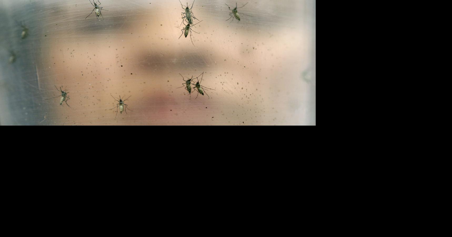 Health Department confirms first case of Zika on St. Thomas Local