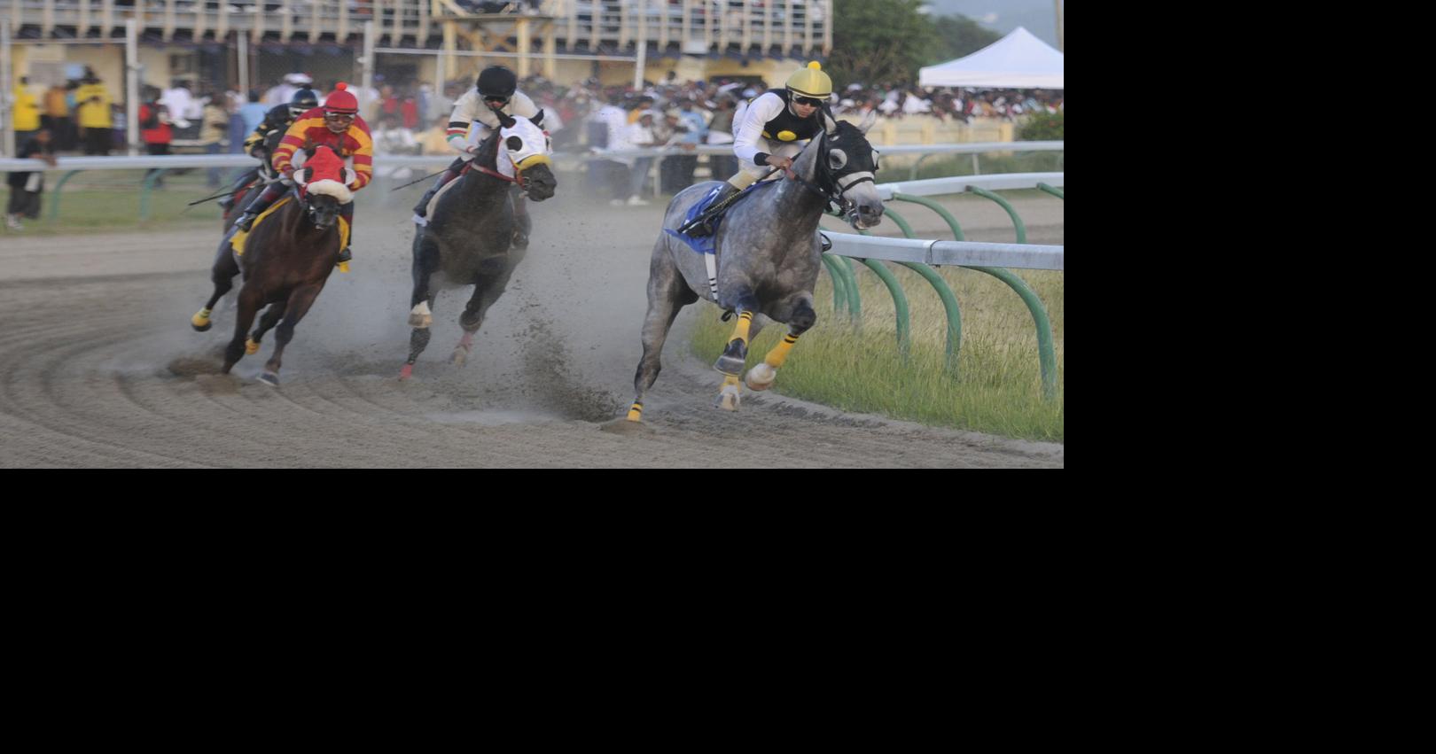 Horse euthanasia raises question about St. Croix races | News ...