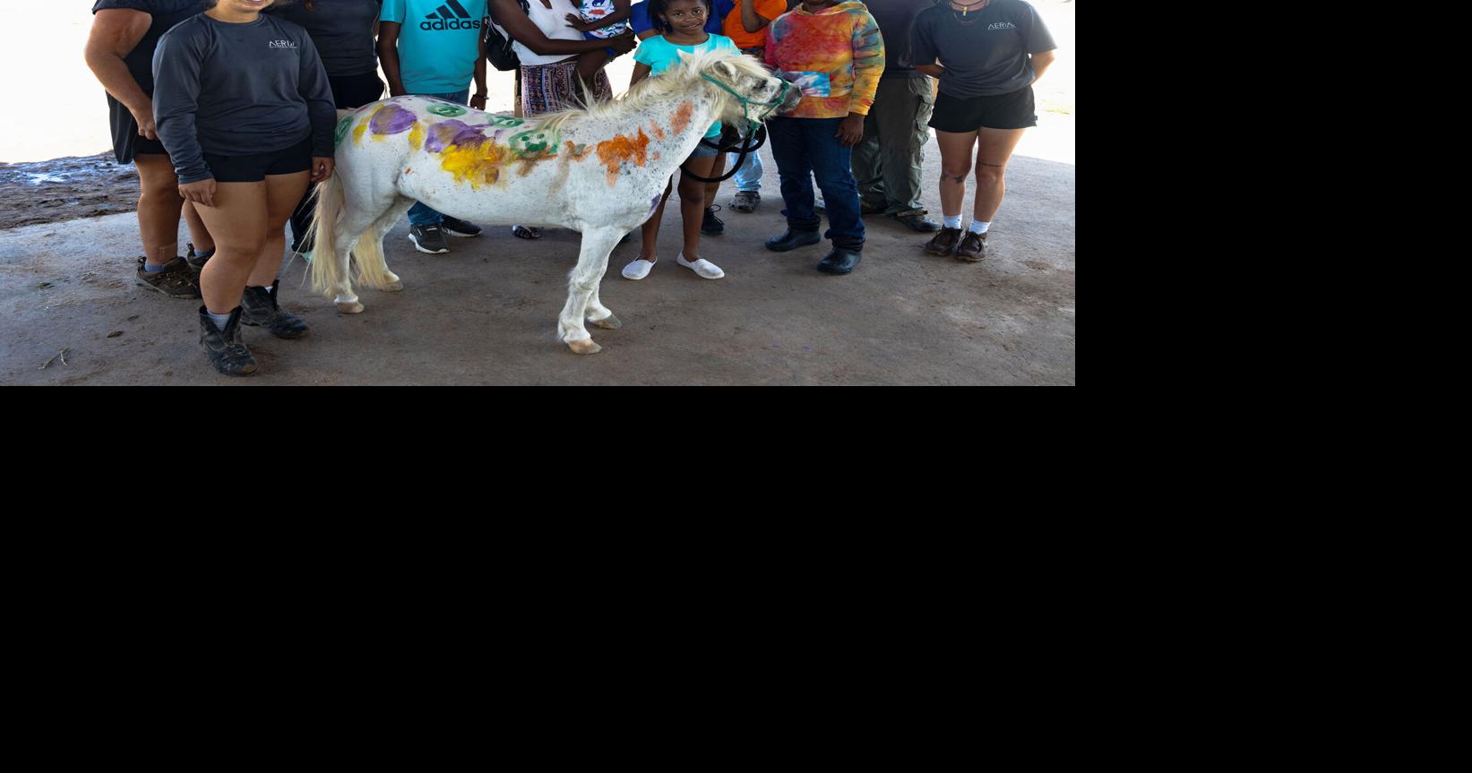 Aerial Recovery and Redemption Ranch holds special place for some BVI ...