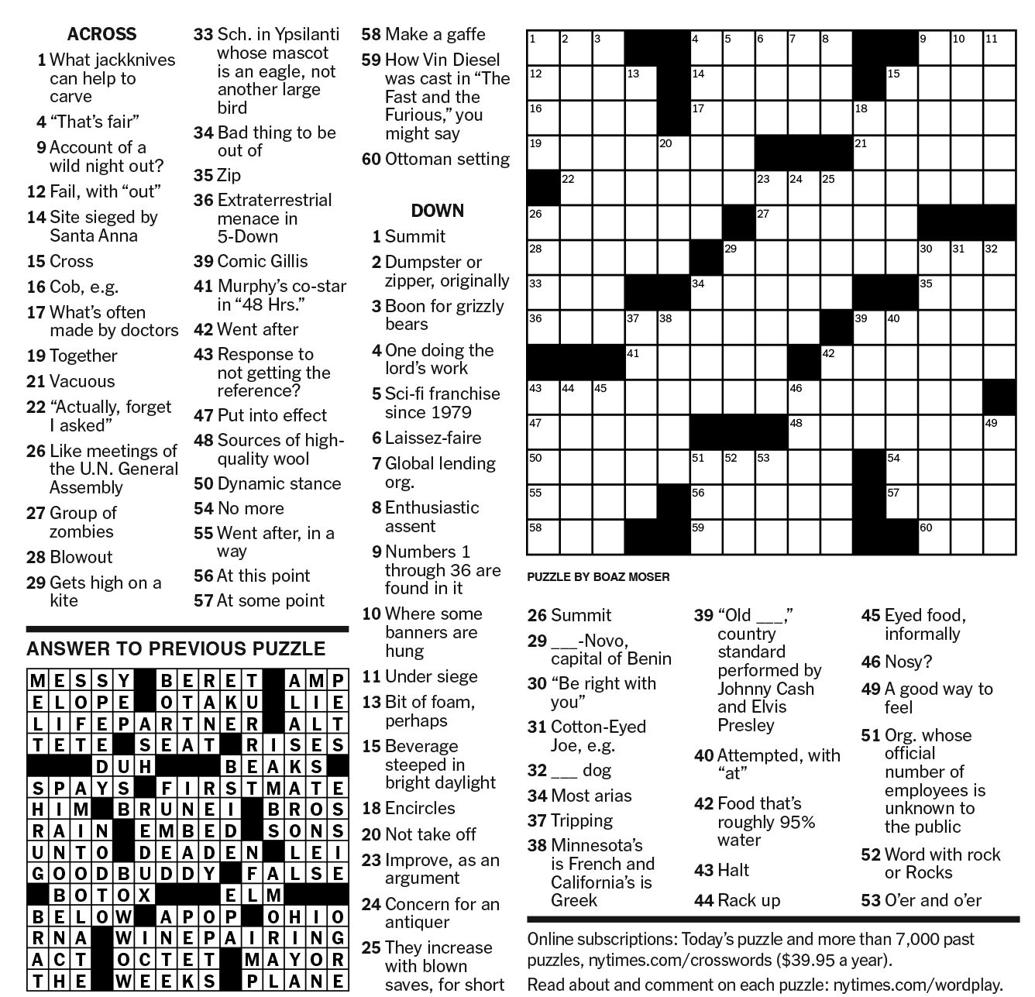 NEW YORK TIMES PUZZLE
