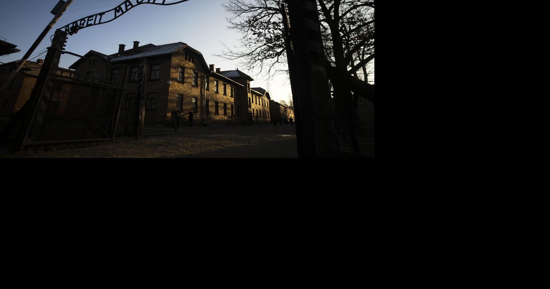 Auschwitz Holocaust Politics