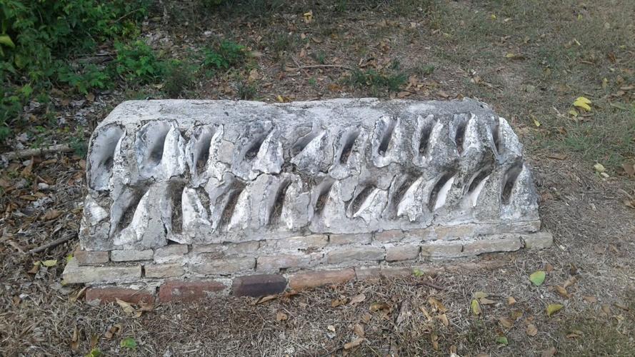 Hands off conch when it's out of season Opinion