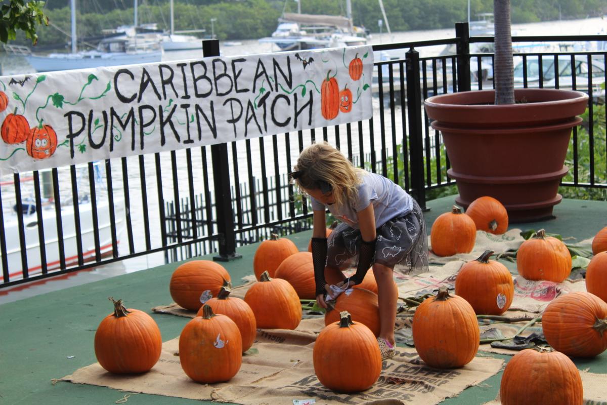 Pumpkin Carving St. Thomas