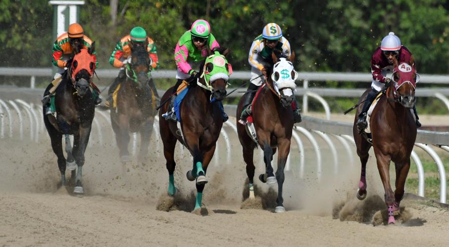 Horses get back on the track at Clinton E. Phipps Racetrack Sports