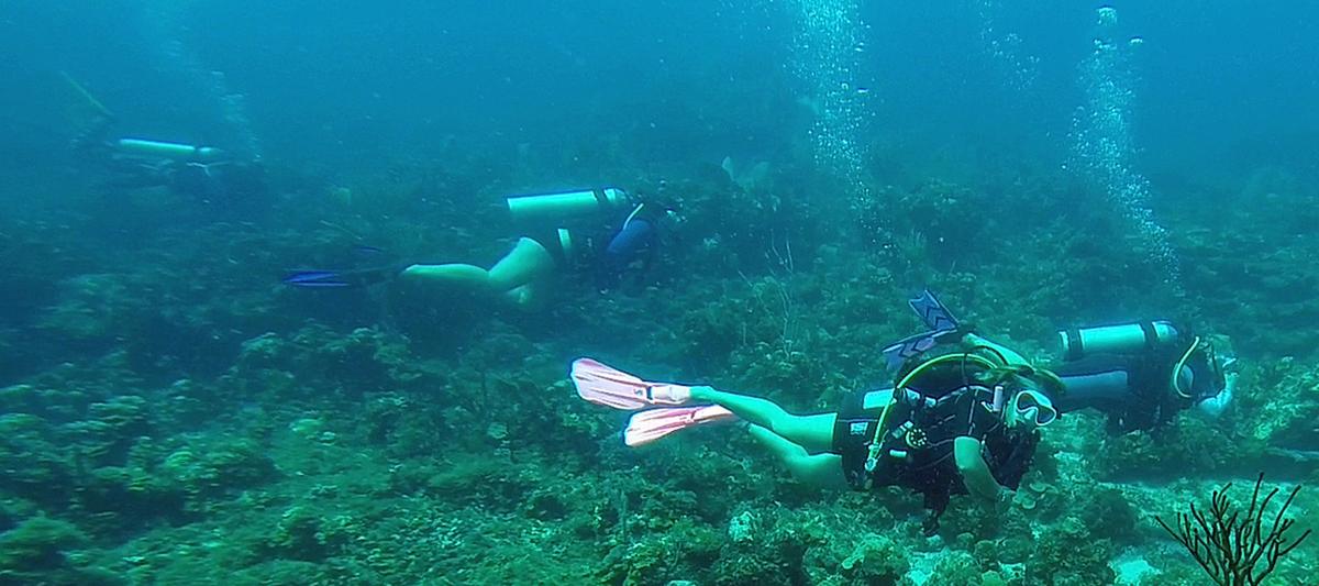 V I Women Join Throngs Globally Celebrating Passion For Ocean News Virginislandsdailynews Com