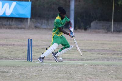 Under The Tree Uproots Vikings In Bvi Cricket Action News Virginislandsdailynews Com Sajid imran and abu huraira revives cricket saudi.