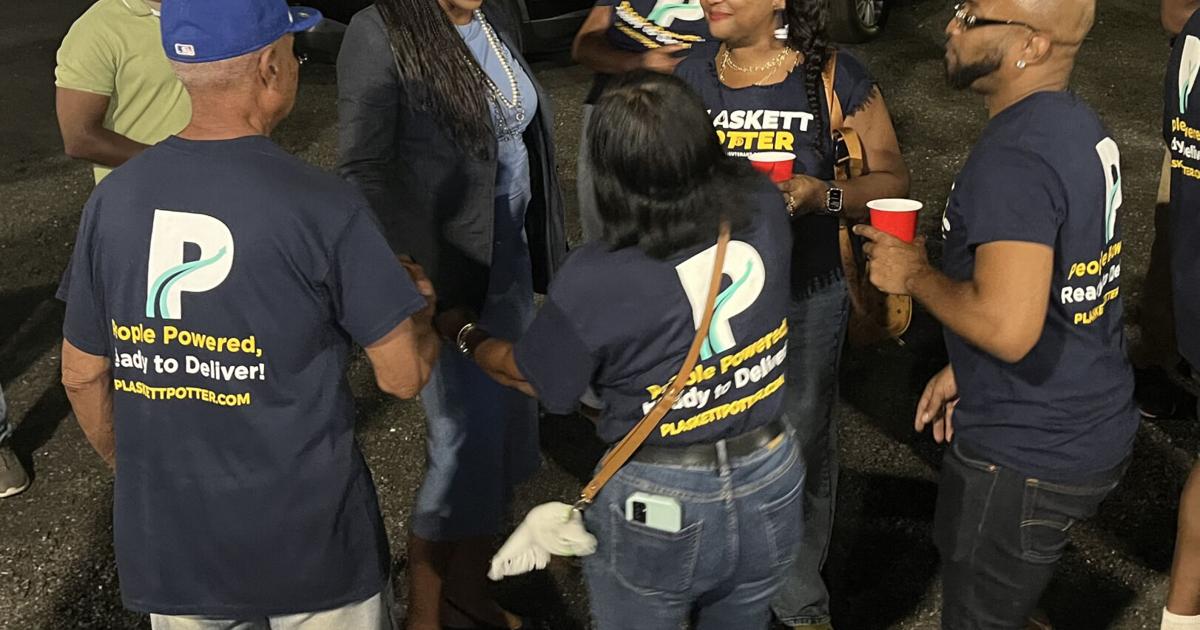 Plaskett-Potter wins primary election