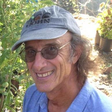 What's happened to the Rule of Law in the Virgin Islands? | Opinion - Vimarsana News
