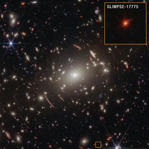Massive Black Holes May Have Started as Little Red Dots